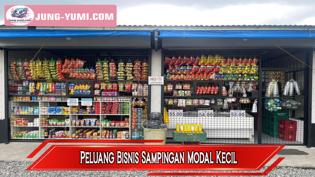 Peluang Bisnis Sampingan Modal Kecil