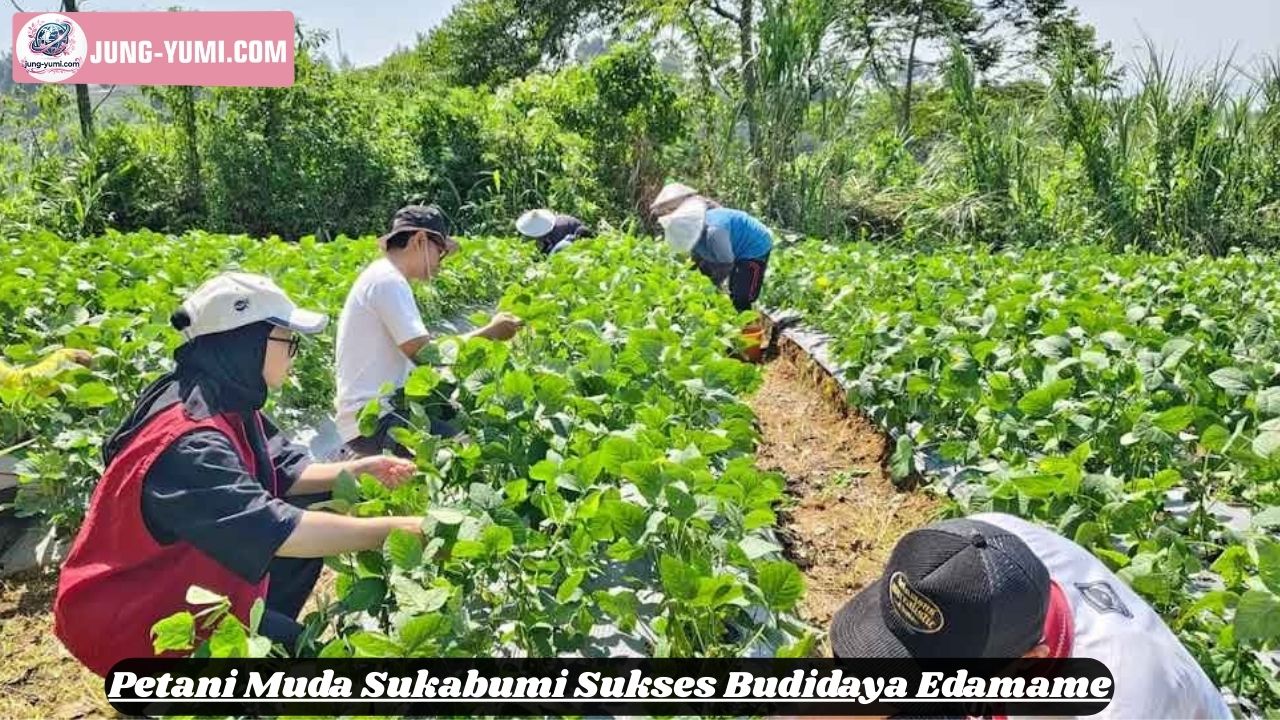 Petani Muda Sukabumi Sukses Budidaya Edamame